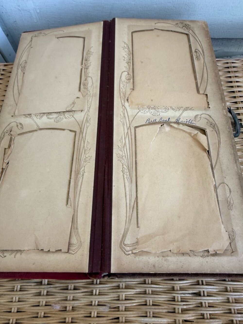 Antique 1880s Red Celluloid Velvet Photo cabinet Album - Picture 8 of 12
